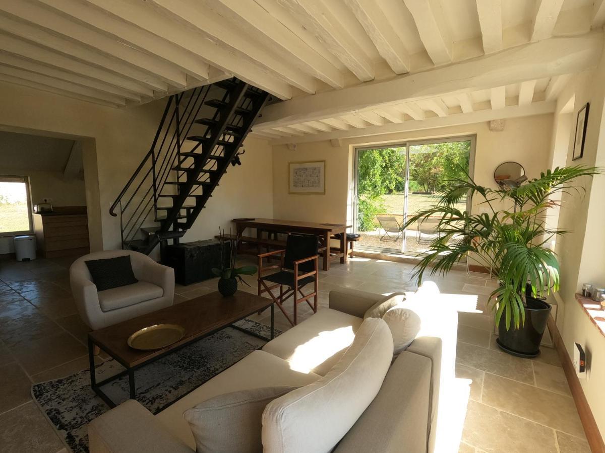 Chateau Des Nouies Villa Selles-sur-Cher Exterior photo