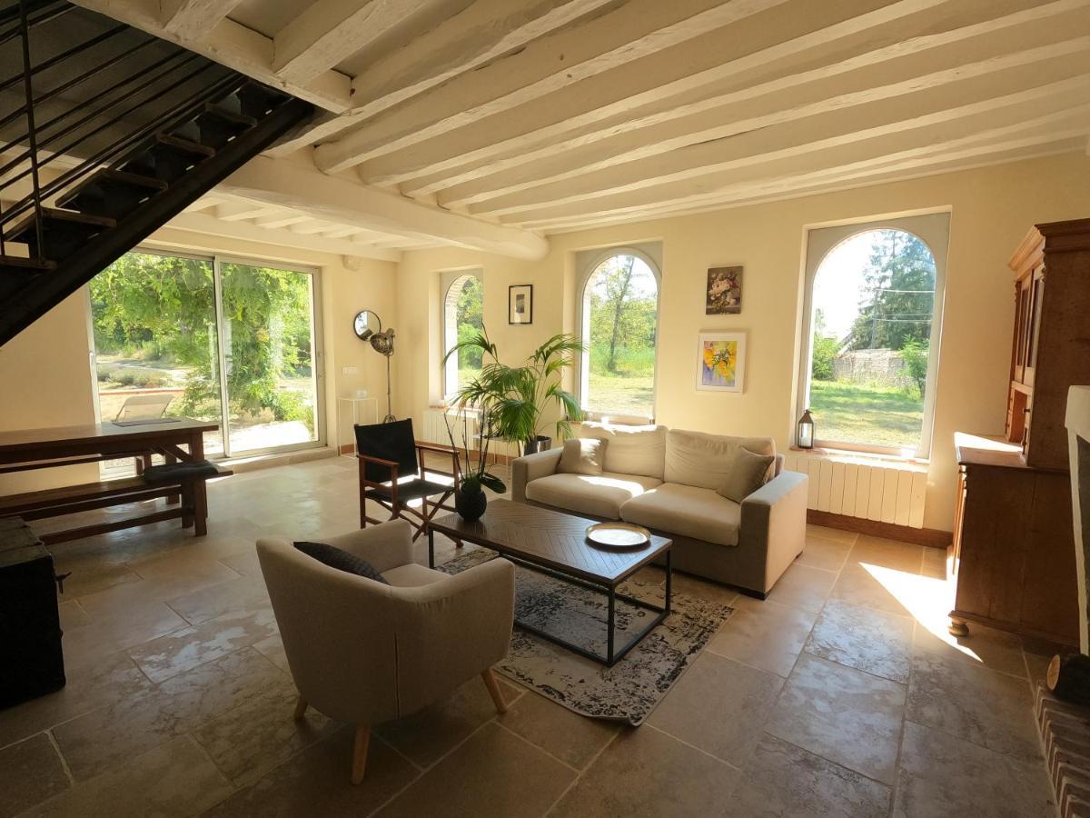 Chateau Des Nouies Villa Selles-sur-Cher Exterior photo